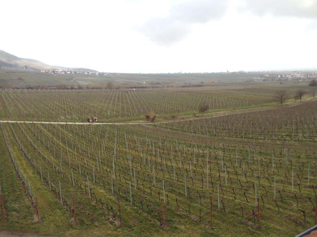 Weinhotel Kienle Burrweiler Εξωτερικό φωτογραφία